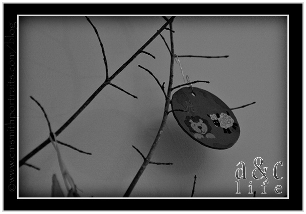 11_17jt-043 11_17jt-043